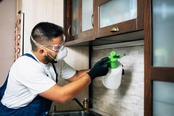 Best Pest Removal Services  in Lake Delta, NY
