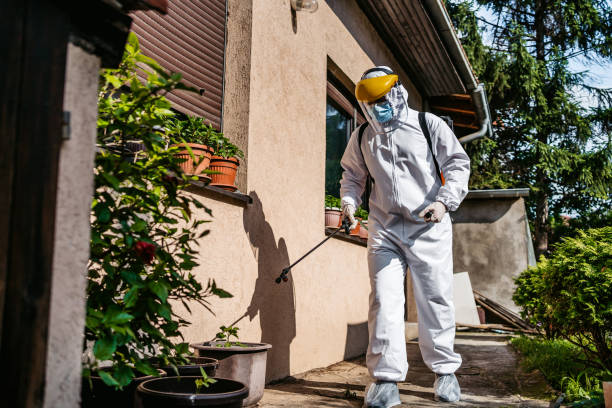 Best Mosquito Control Services  in Lake Delta, NY