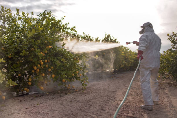 Best Local Pest Control Services  in Lake Delta, NY