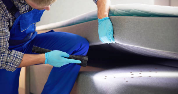 Best Affordable Pest Control Services  in Lake Delta, NY